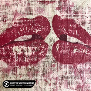 I Like the Way You Kiss Me