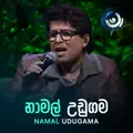 Obe lowe ada maa