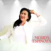 Mérida Espinoza - Juguetes de Mi Tierra