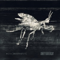 META[MORPHOSIS] - Defying Decay