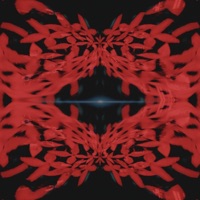 exora - Single - siluent