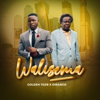 Walisema - Single - GOLDEN TOZB