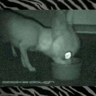 cookie dough (feat. RiCK!) - Single