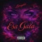 Esa gata - lansylot lyrics