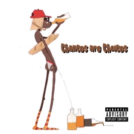 Chances Are Choices Ghost in a Clan