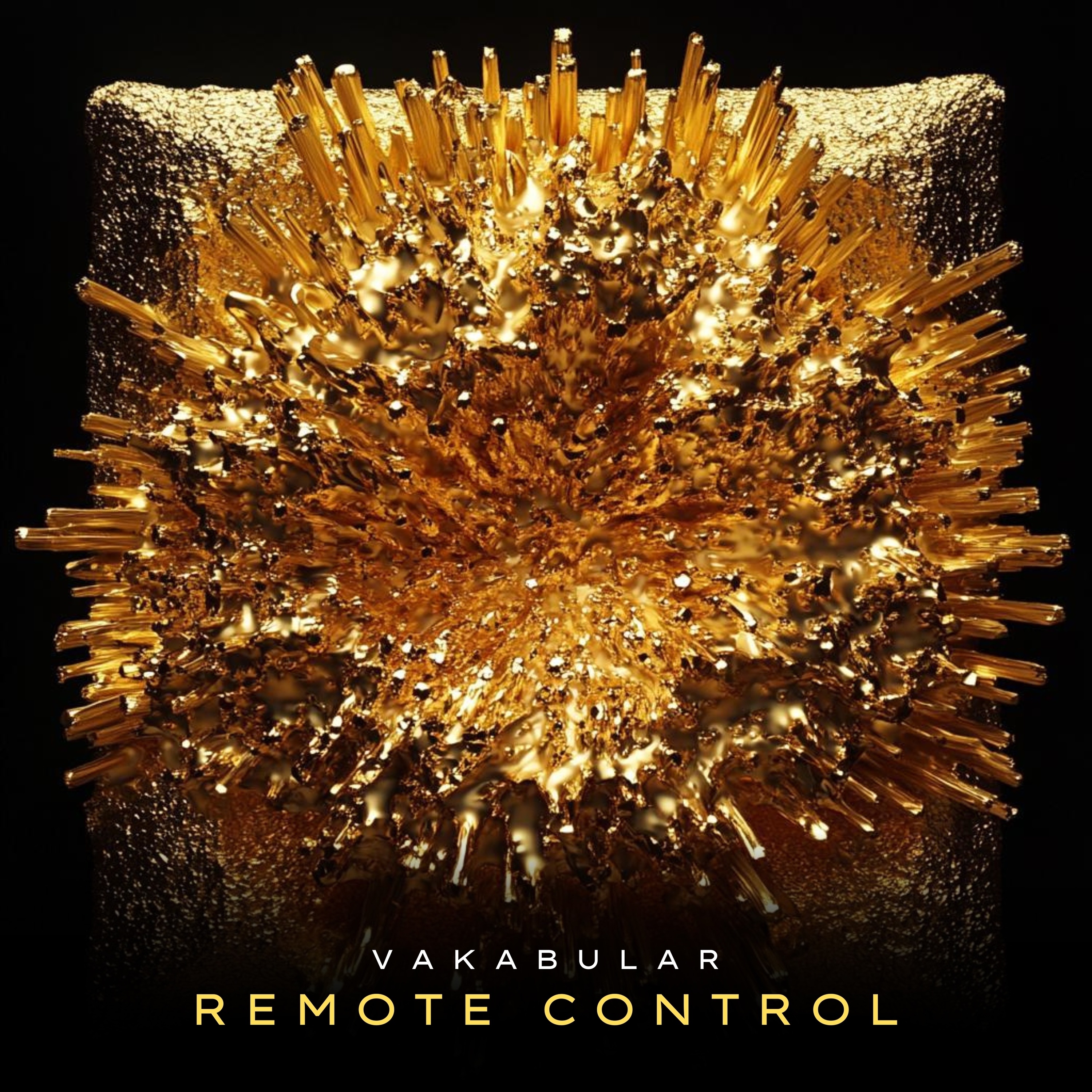 Remote Control - Vakabular (Extended Mix)