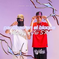 PARCHAO EN EL BLOQUE (feat. Maikyy) - Single - Teo SR