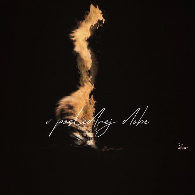 V poslednej dobe - Single