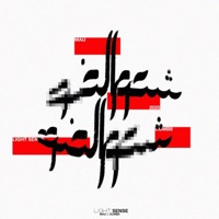 Light Sense - Mau & Dumbii