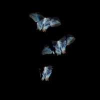 Ya No Duele Como Antes - Single - Bby Rolieh