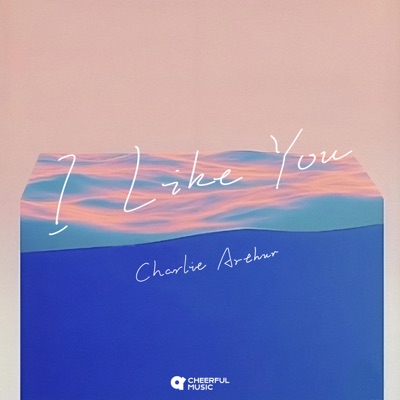 I Like You - Single