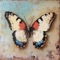 Papillon (Extended Mix) - Candego lyrics