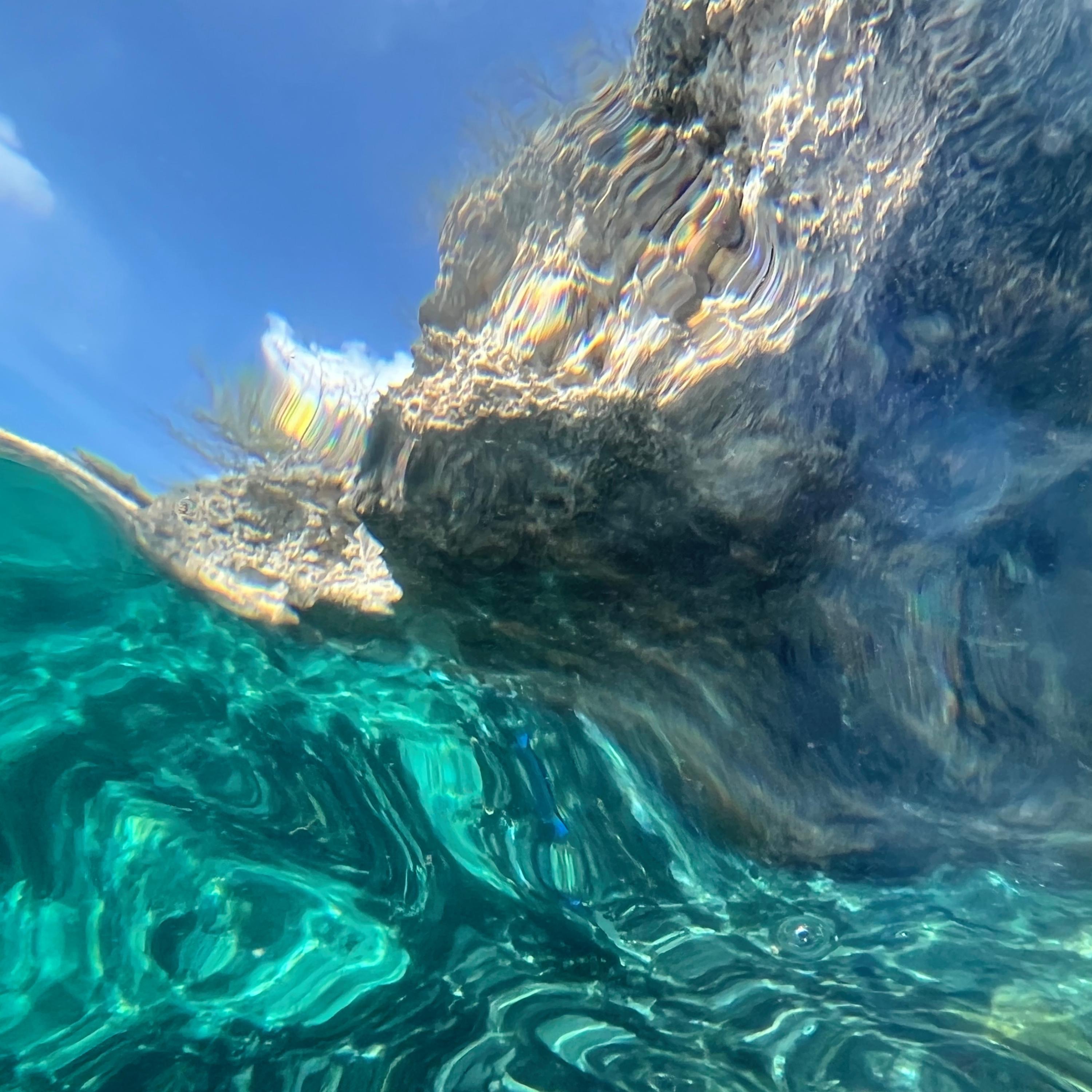 Postcards From Pangea