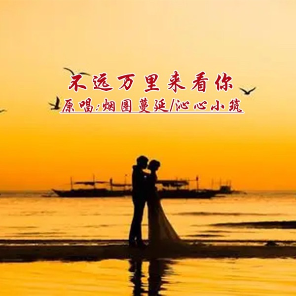 不远万里来看你 (对唱版) - Single
