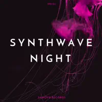 Synthwave Night — MD DJ