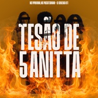 Tesão de 5 Anitta - Single - MC Pipokinha, Puccatsunami & dj gonzaga 011