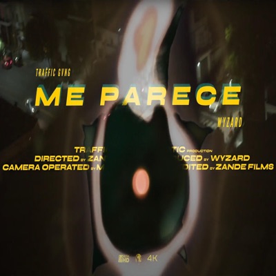 Me parece (feat. wyzard) - Single