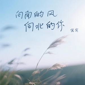 向南的风向北的你 - Single