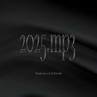 2025.mp3 - Single - Lil Swish & Yudorra
