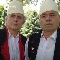 Shume heroi ka dhen Kosova (feat. Sevdi Malsia) - Single - Bib Kosova