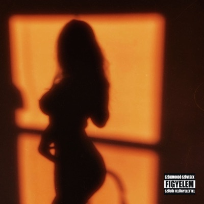 Frontin (feat. Robin.) - Single