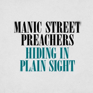 Hiding in Plain Sight - Single