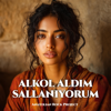 Anatolian Rock Project - Alkol Aldım Sallanıyorum artwork