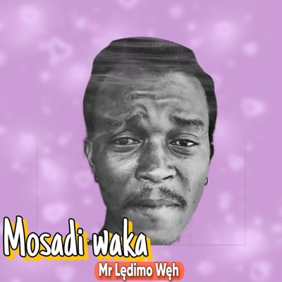 Mosadi waka - Single