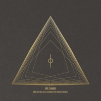 Niña del Mas Allá (Chancha Via Circuito Remix) - Single - Ape Chimba & Chancha Vía Circuito