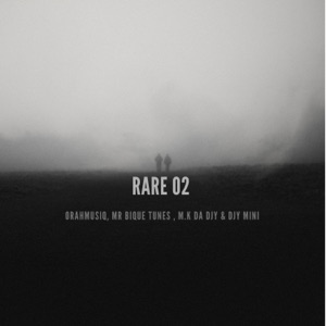 Rare 02 (feat. djy Mini)