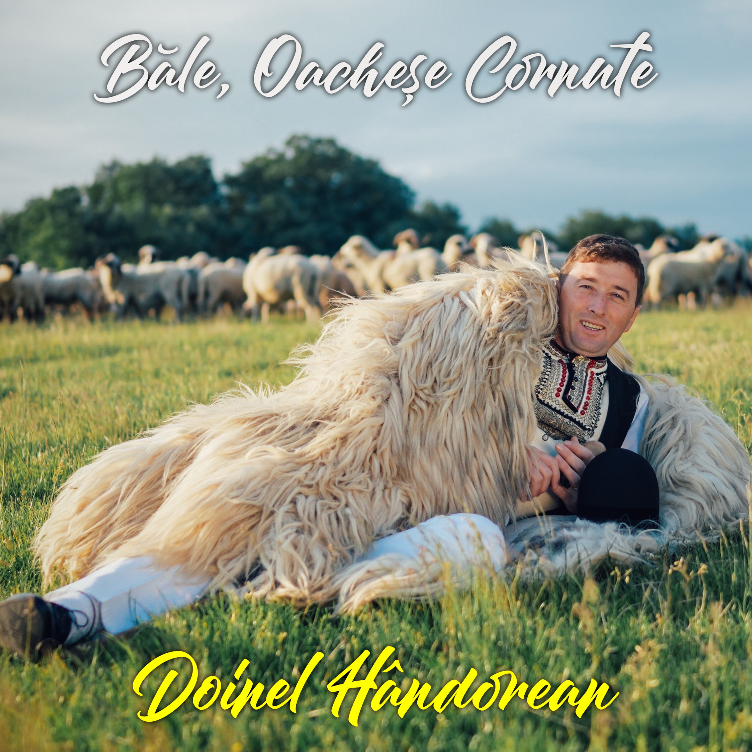 Băle, Oacheșe Cornute - Single