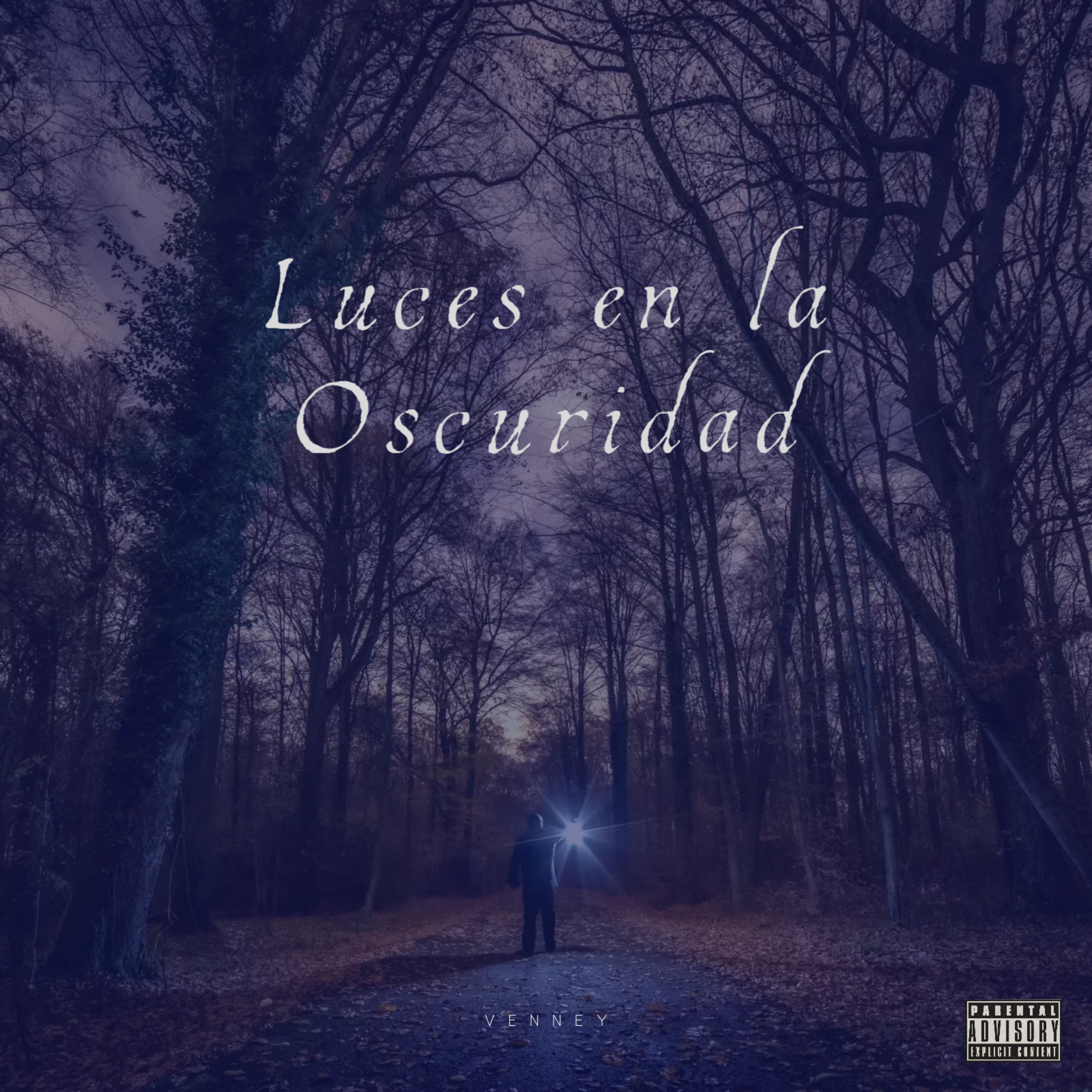 Luces en la Oscuridad