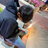 Losing Intrest - Single - Spark MC