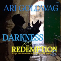 Darkness to Redemption 5 - Ari Goldwag