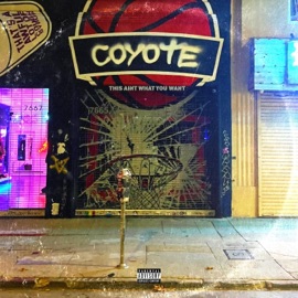 This Aint What You Want Coyote
