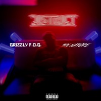 The Nature - Single - Grizzly F.O.G.