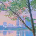 soft sunrise