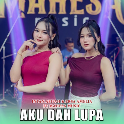 Aku Dah Lupa (feat. Mahesa Music) - Single