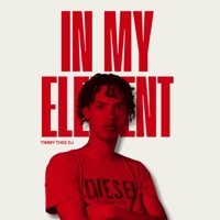 In My Element - Single - Timmy Thee Dj
