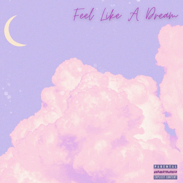 Feel Like A Dream