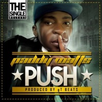 PUSH - Single - paddy watts
