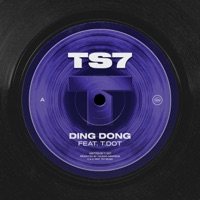 Ding Dong (feat. T Dot) - Single - TS7