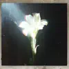 Netsky & Bebe Rexha - Light That Leads Me