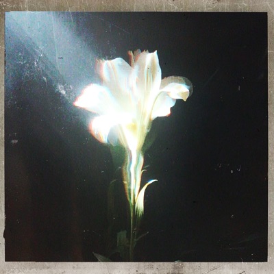 Light That Leads Me - Single