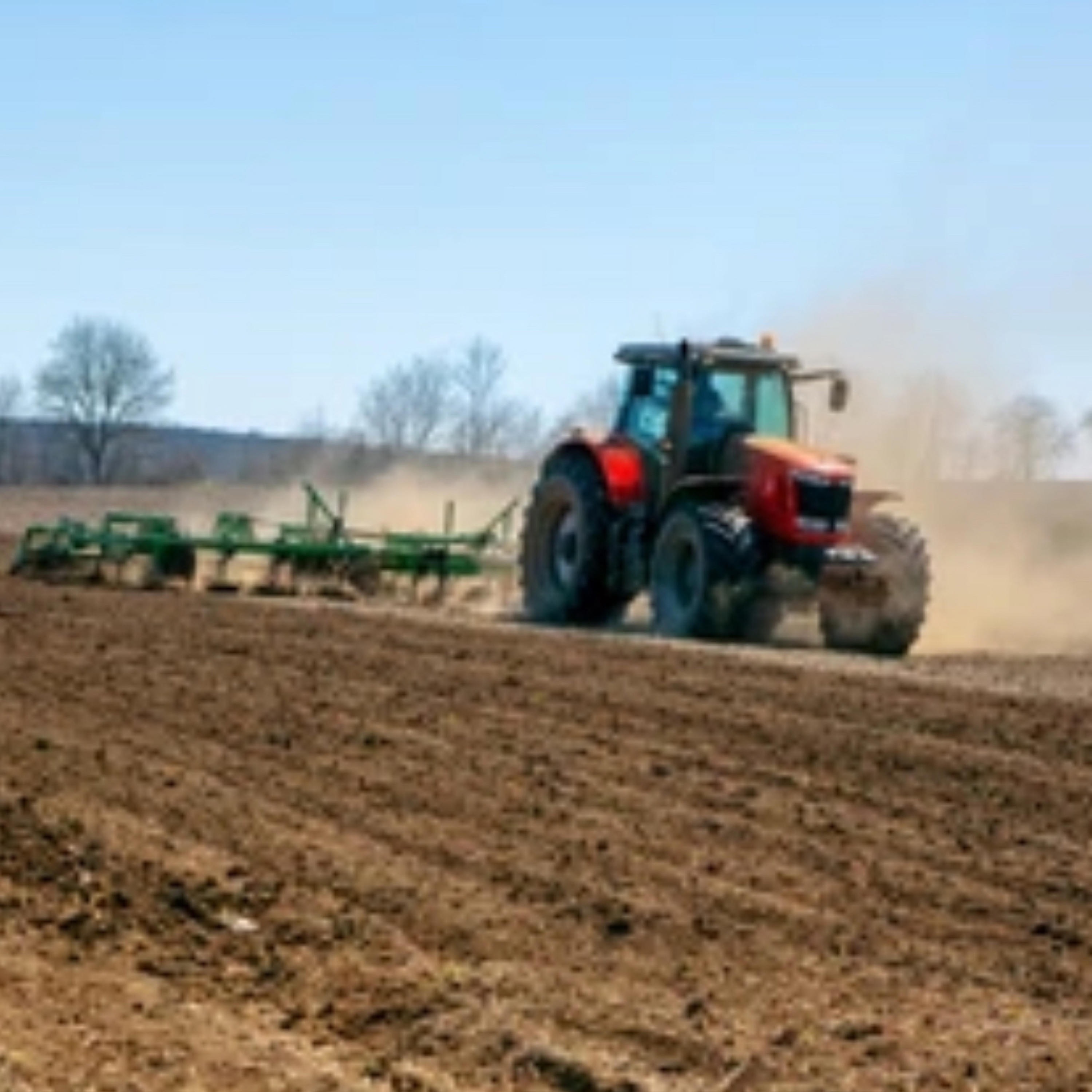 Maybe It'll Rain - Single