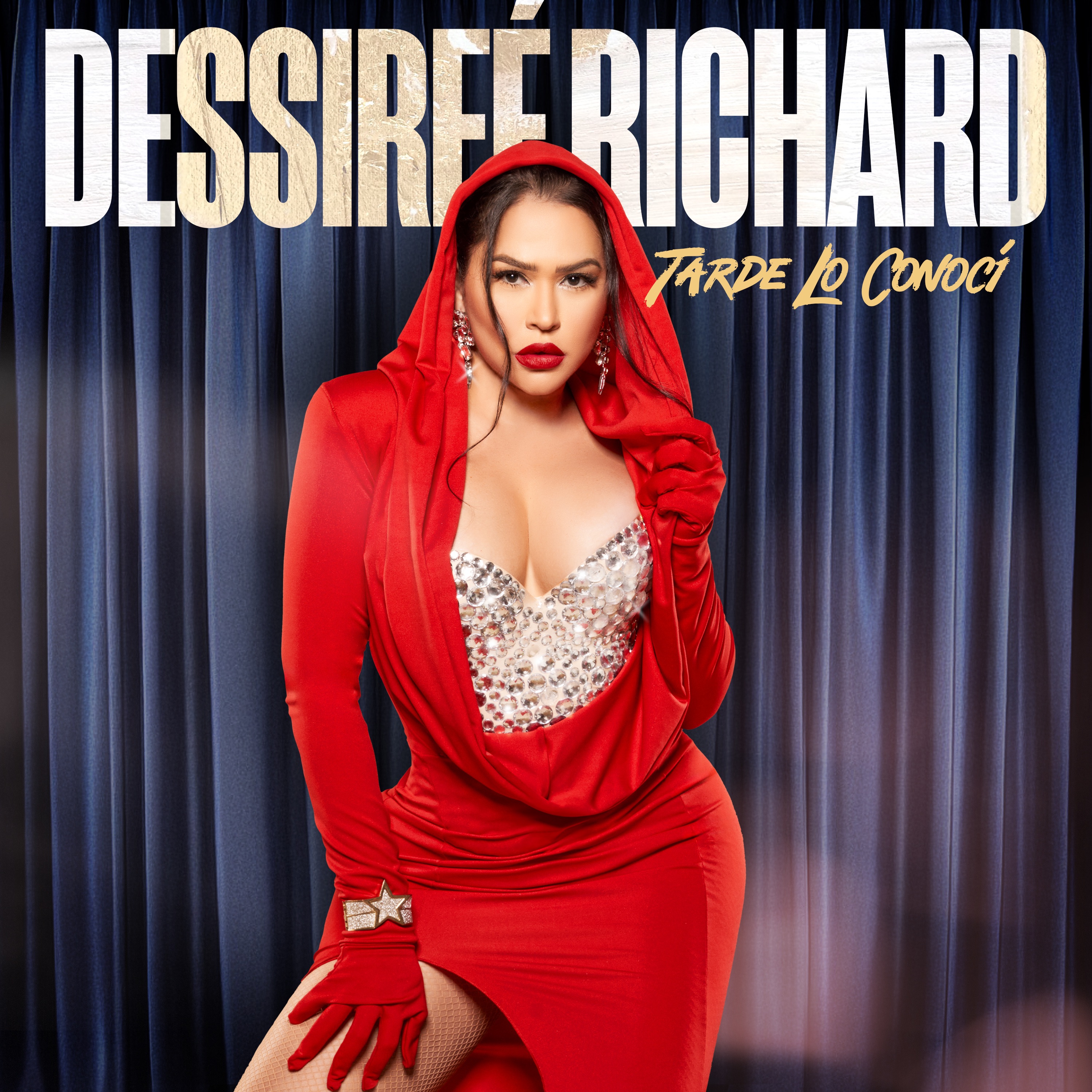 Dessiree Richard - Tarde Lo Conocí