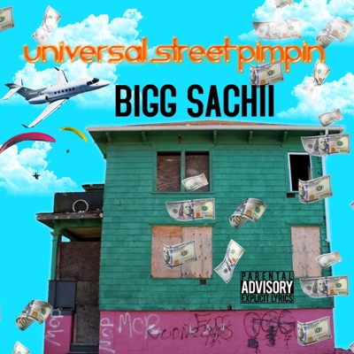 UNIVERSAL STREET PIMPIN (Radio Edit) - Single