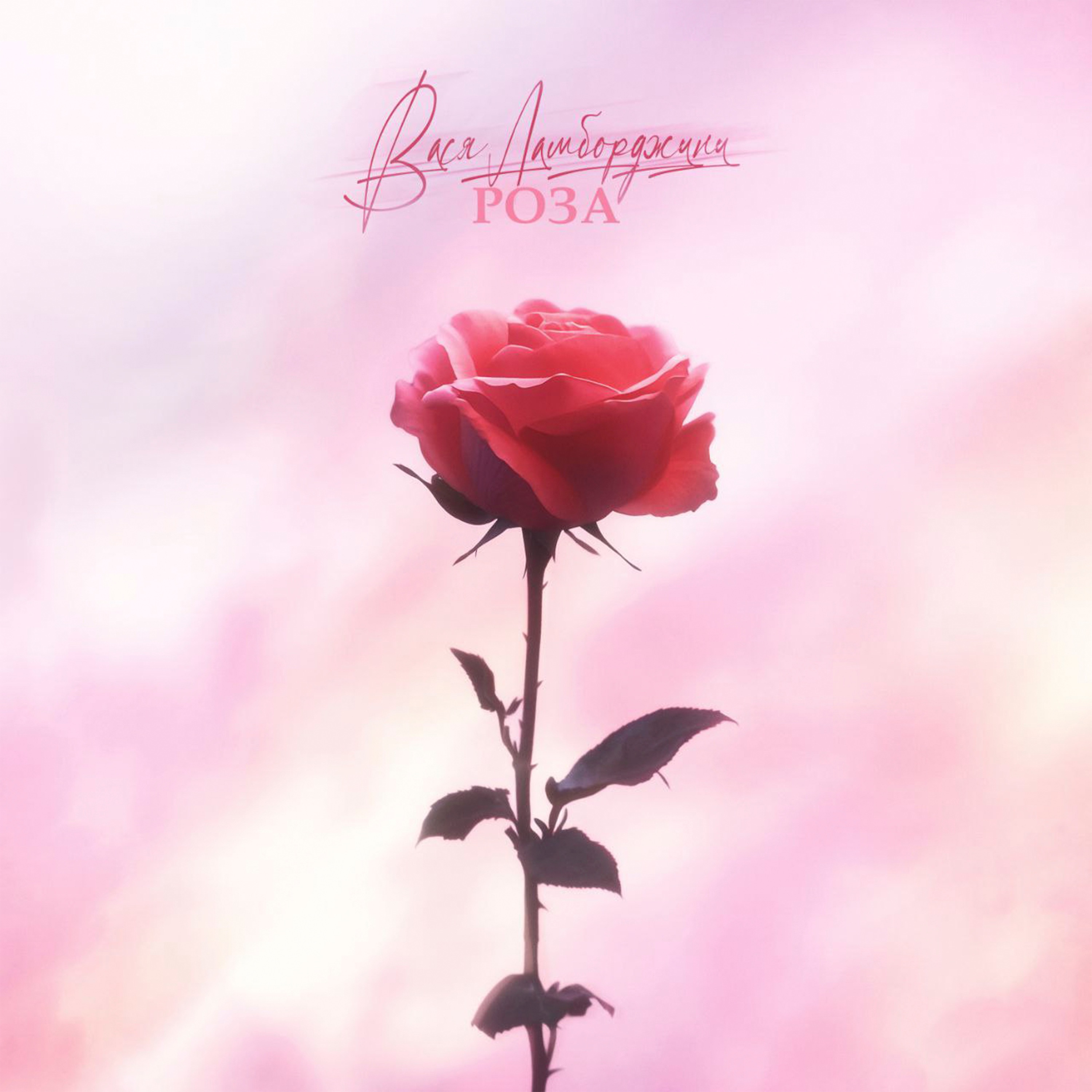 Роза - Single