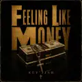 Feeling Like Money