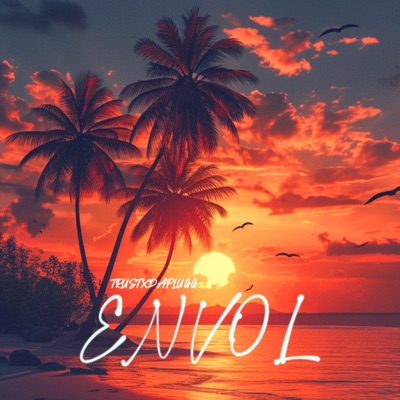 Envol (feat. Daplugg) - Single